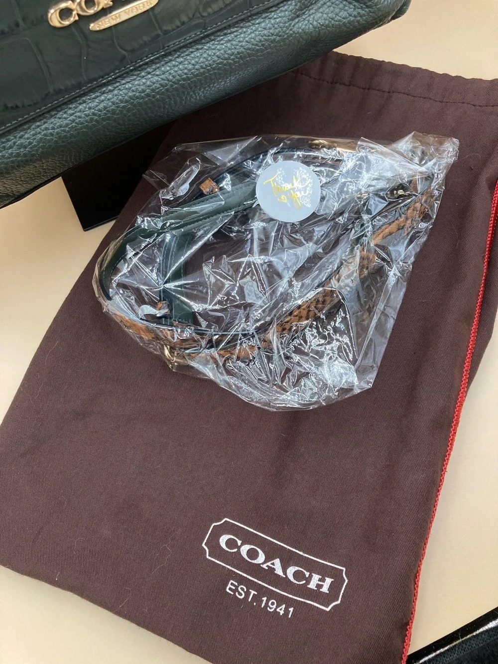 Coach Teal Leather Satchel with Brown Snake-Print Handles
